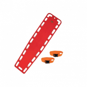 CAMILLA TRANSLUCIDA STEELPRO